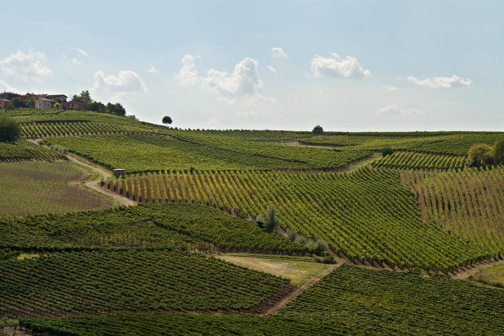 Il Poggio B&B San Damiano al Colle Kültér fotó